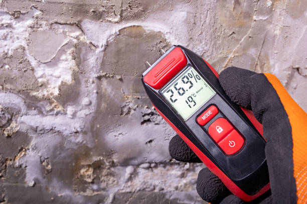 Best Mold Damage Repair  in Sylvania, GA