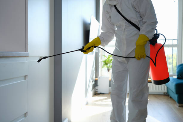 Best Residential Mold Removal  in Sylvania, GA