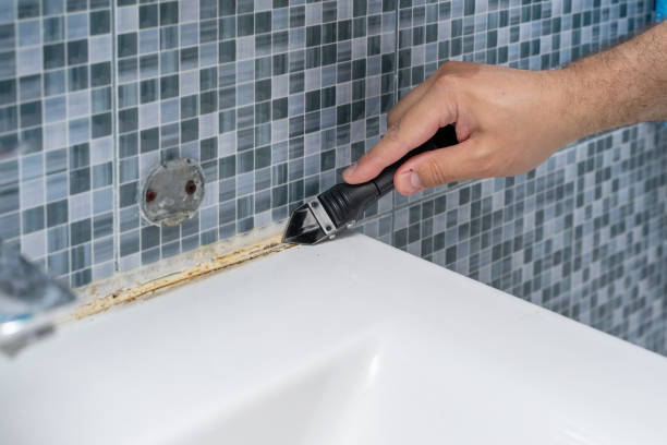 Certified Mold Removal in Sylvania, GA