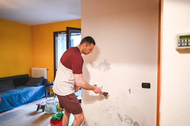 Best Office Mold Removal Services  in Sylvania, GA