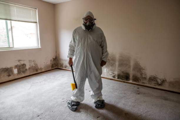 Best Local Mold Removal Service  in Sylvania, GA